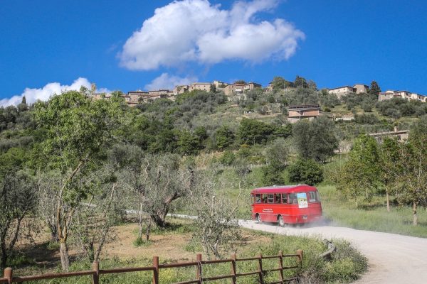 A year of excitement with Granfondo and Cycling Classics