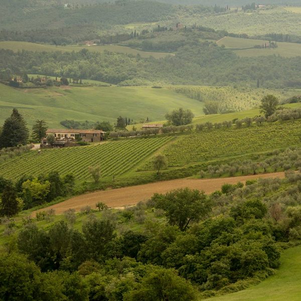 Percorsi facili in bici in Toscana: l’anello di Barberino
