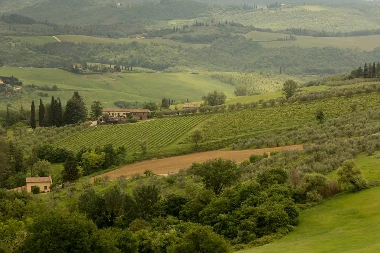 Easy bike trail in Tuscany: the ring of Barberino