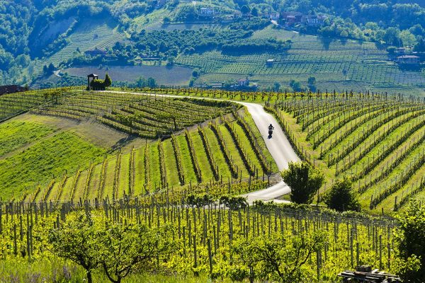 Le Langhe in bici: Alba, Monforte e Serralunga, tra castelli e vigneti