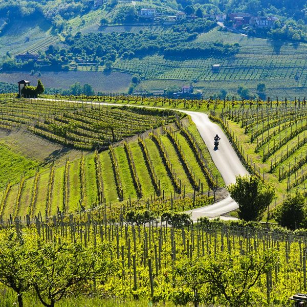 Le Langhe in bici: Alba, Monforte e Serralunga, tra castelli e vigneti