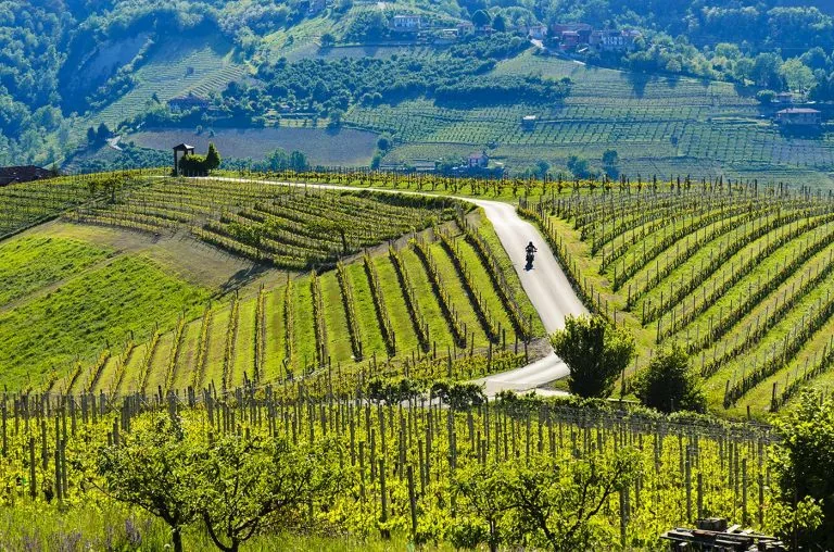 The Langhe by bike: Alba, Monforte and Serralunga, through castles and vineyards