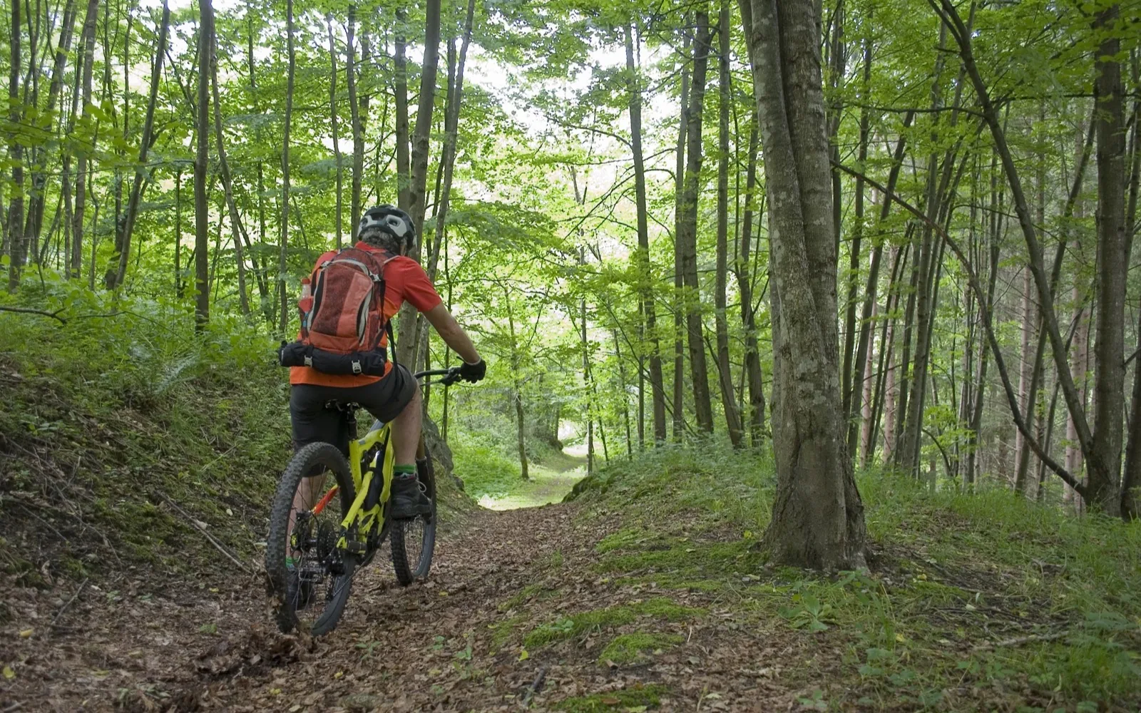 Acquapartita ebike tour
