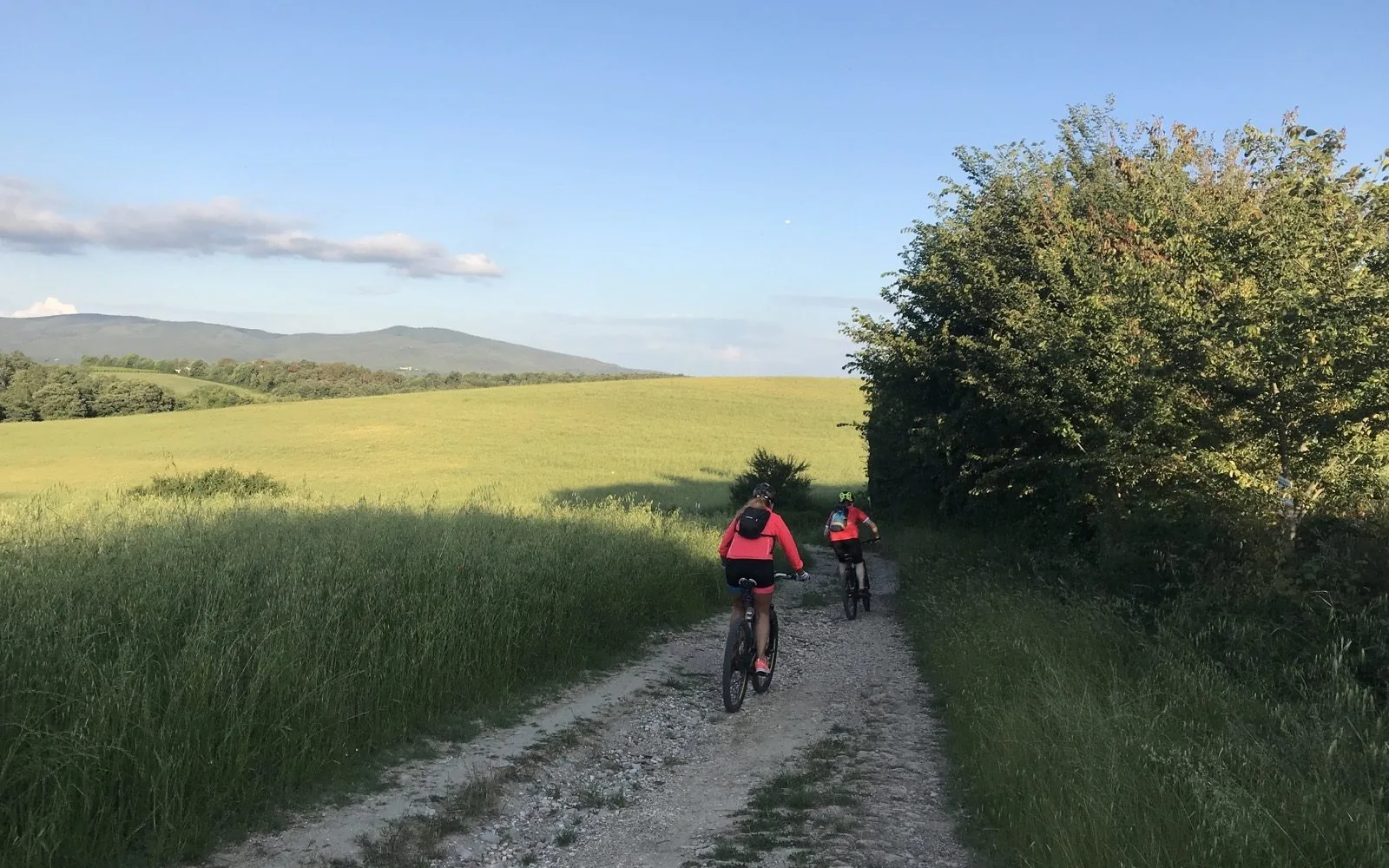From San Gimignano to Poggibonsi, Tuscany taste