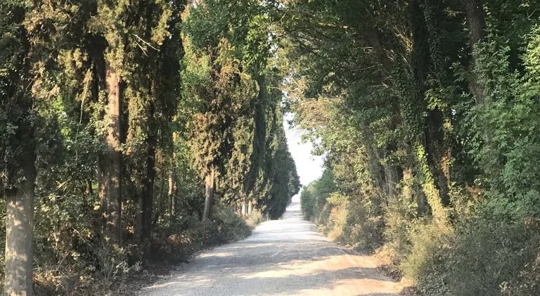 MTB Itinerary Borgo Pignano