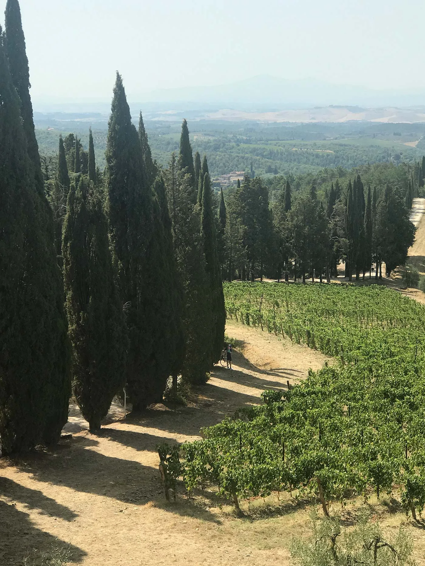 Mountain Bike Itinerary Borgo Pignano