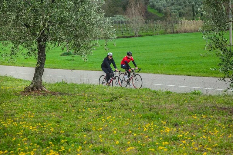 Road Bike Itinerary La Capalbiola
