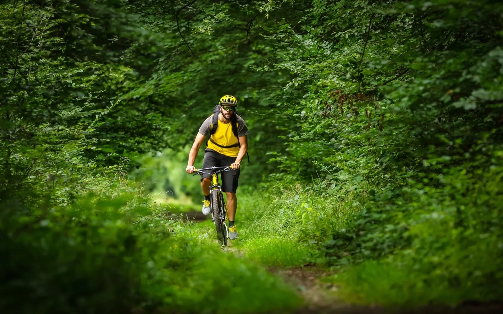 Acquapartita mtb path