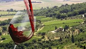 Sulla strada di Montalcino