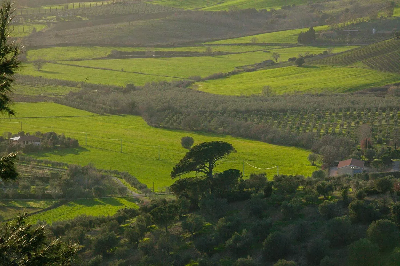 Marsiliana Mountain Bike Itinerary