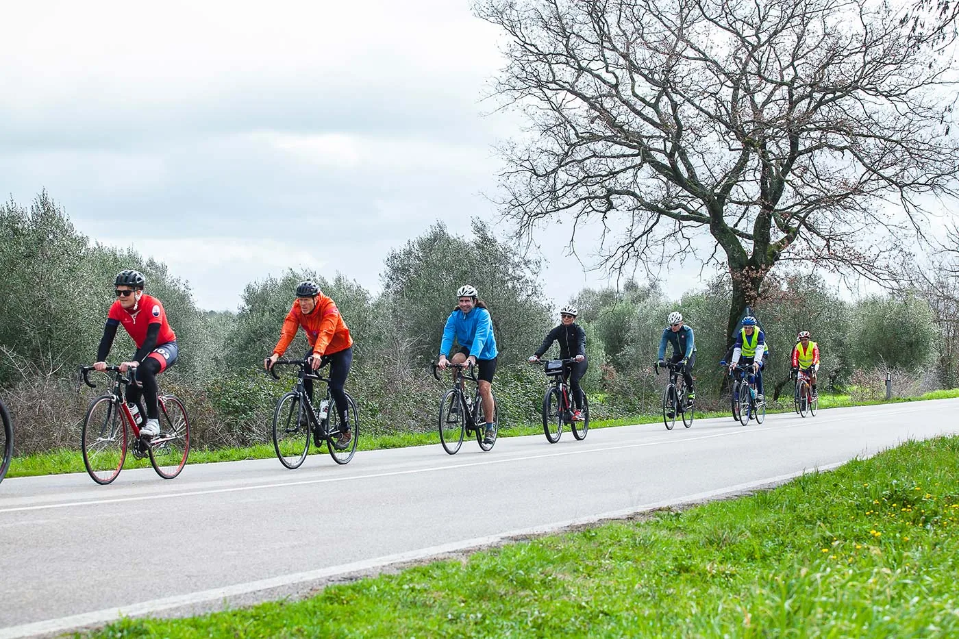 Marsiliana Mountain Bike Itinerary