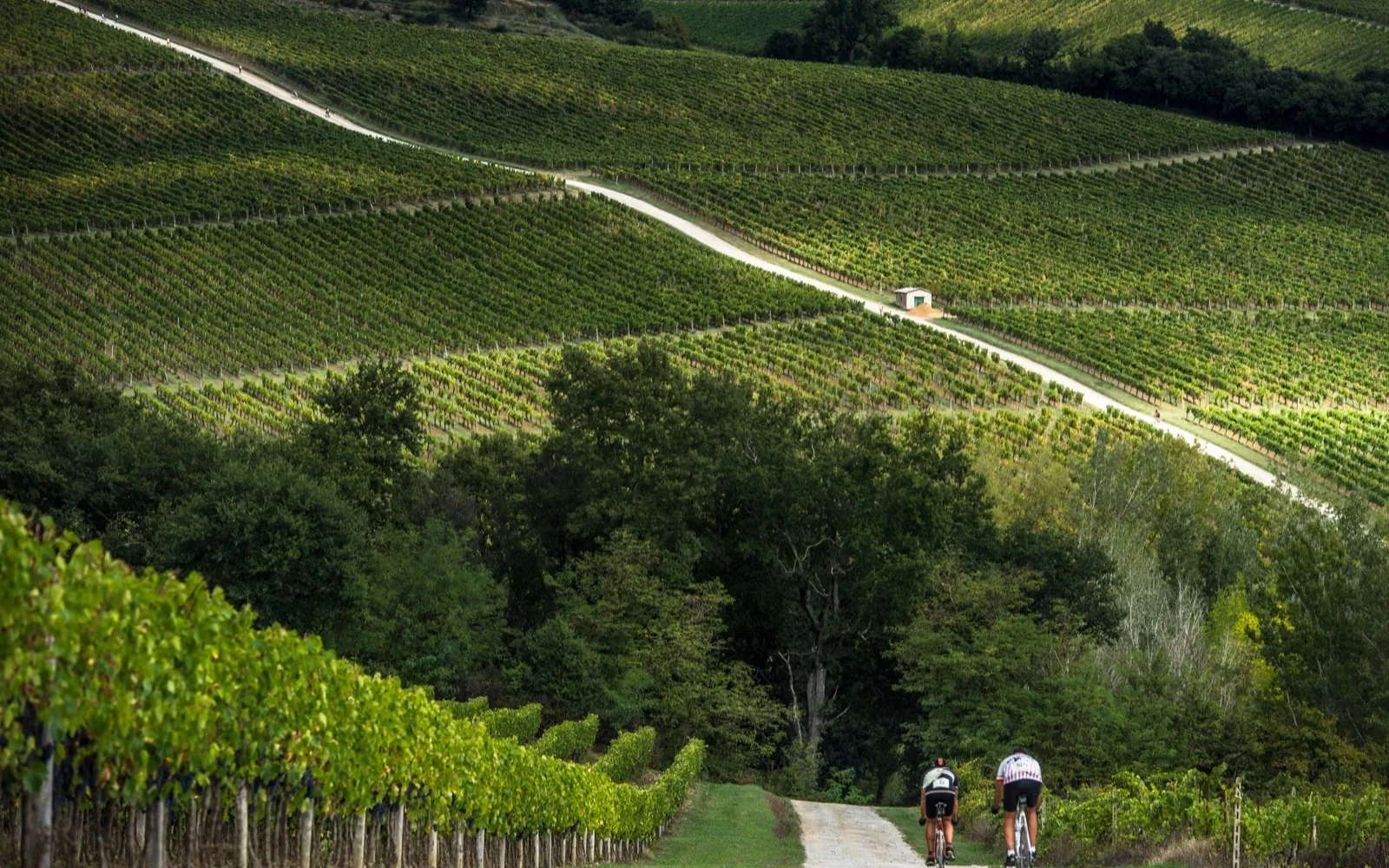 The Legendary Eroica Path medium