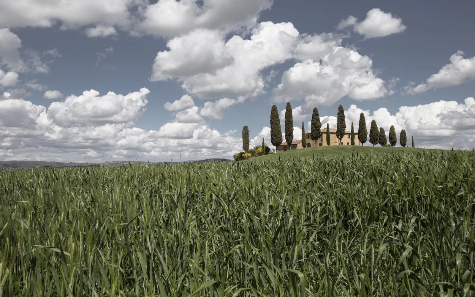 Sant’Antimo and Montalcino