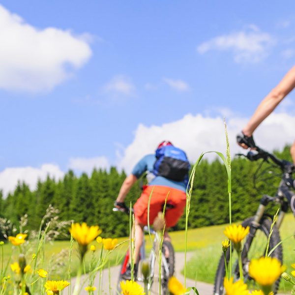 The upswing of cycle tourism in Italy: all the things you should know