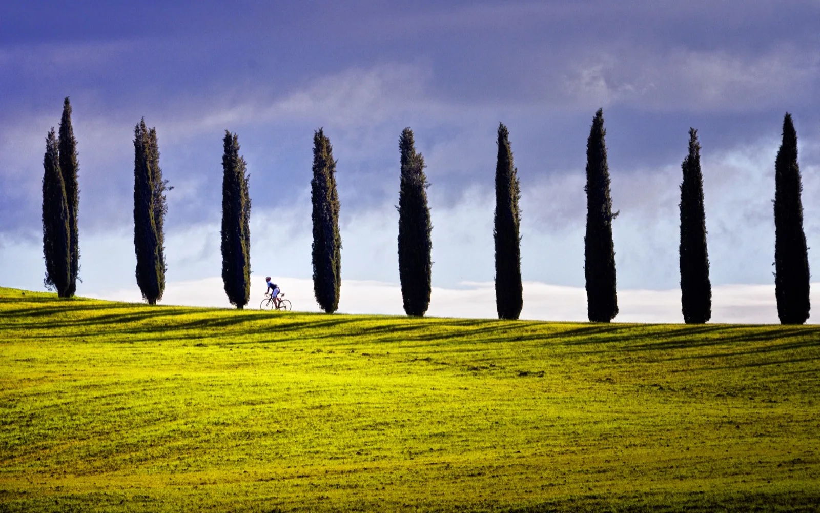 Profumi e colori della Val D’Orcia