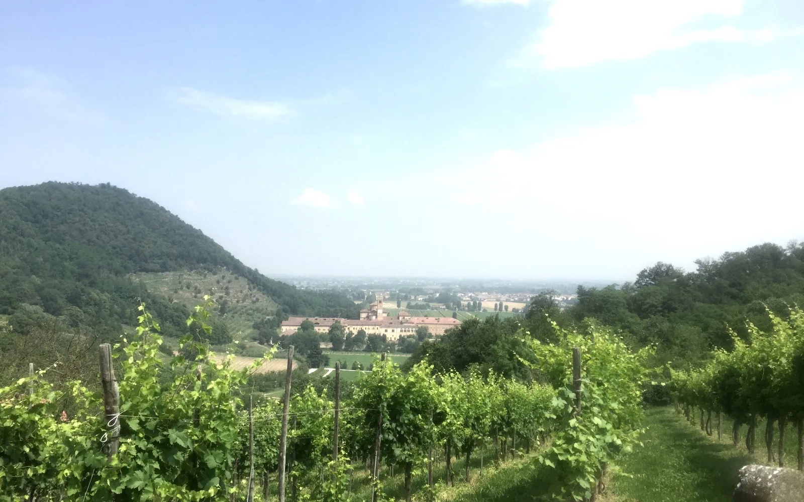 Into the heart of the Euganean Hills