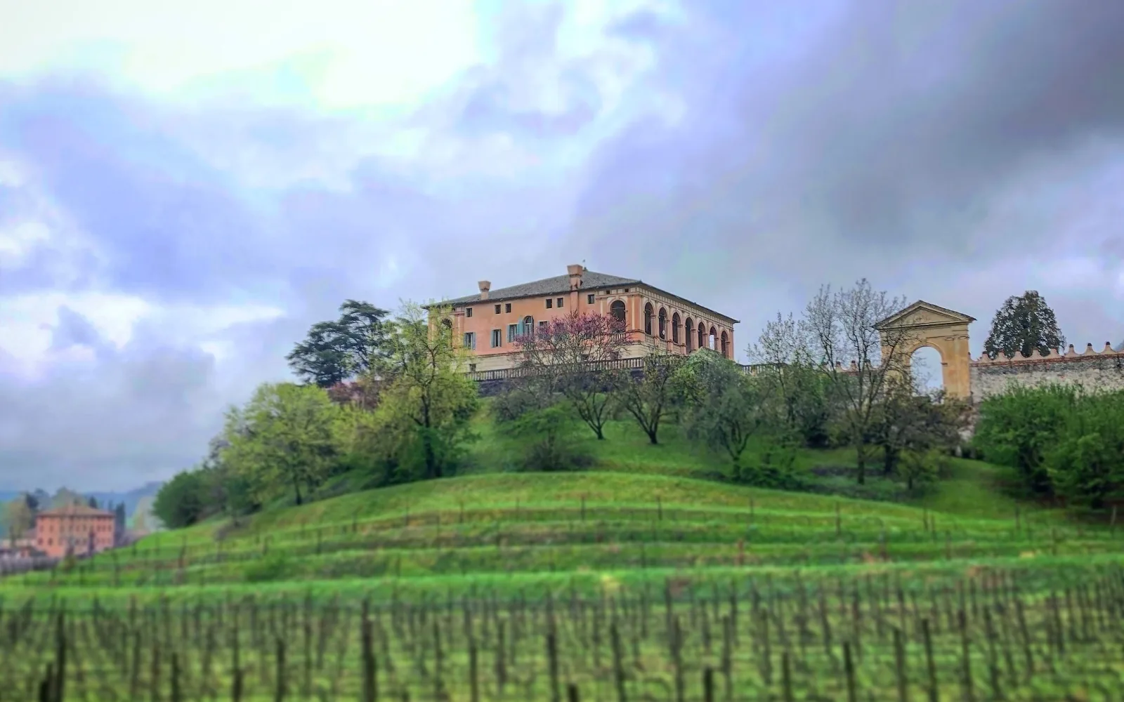 Lungo l’anello dei Colli Euganei, verso Arquà