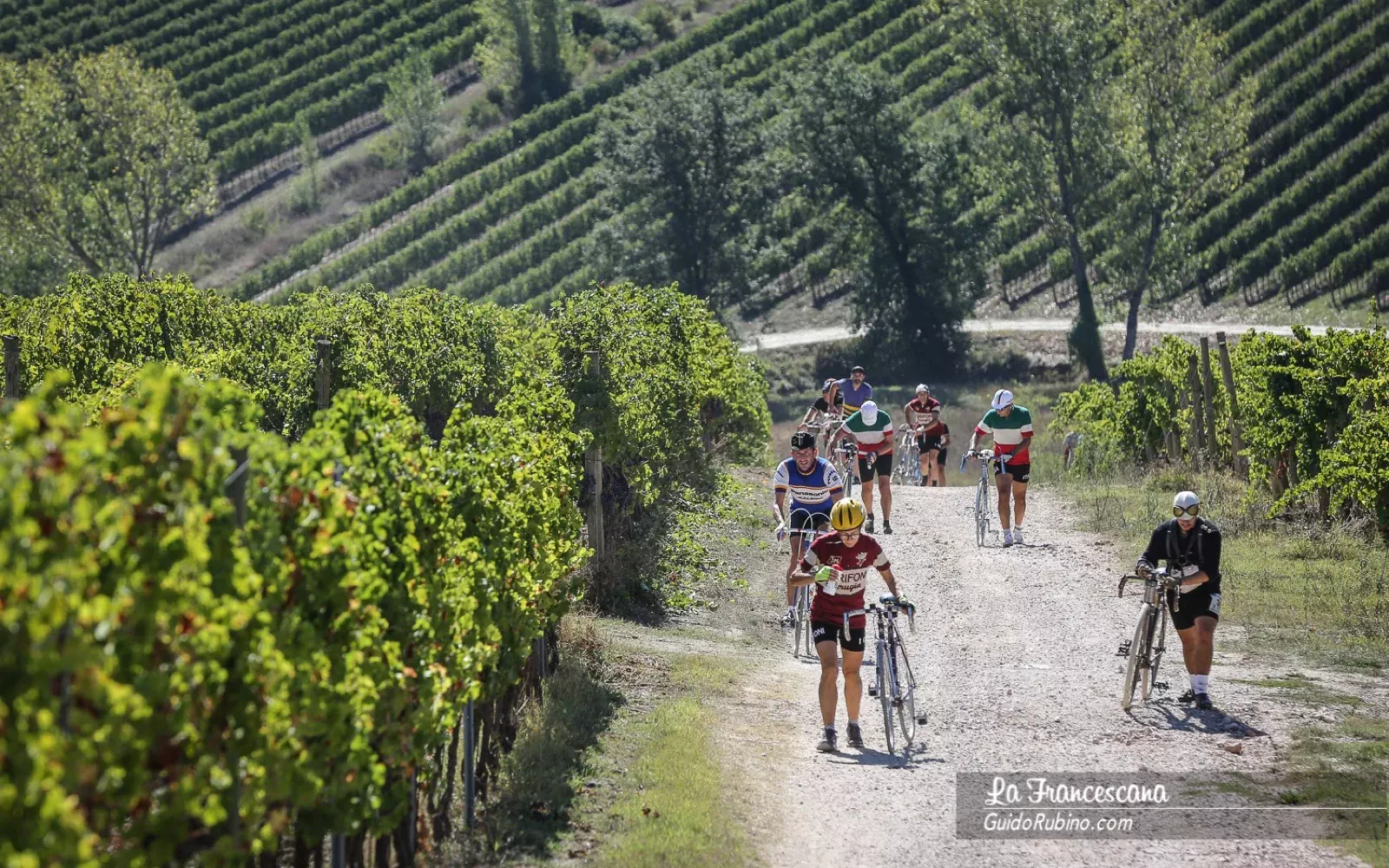 Torgiano e i suoi vigneti