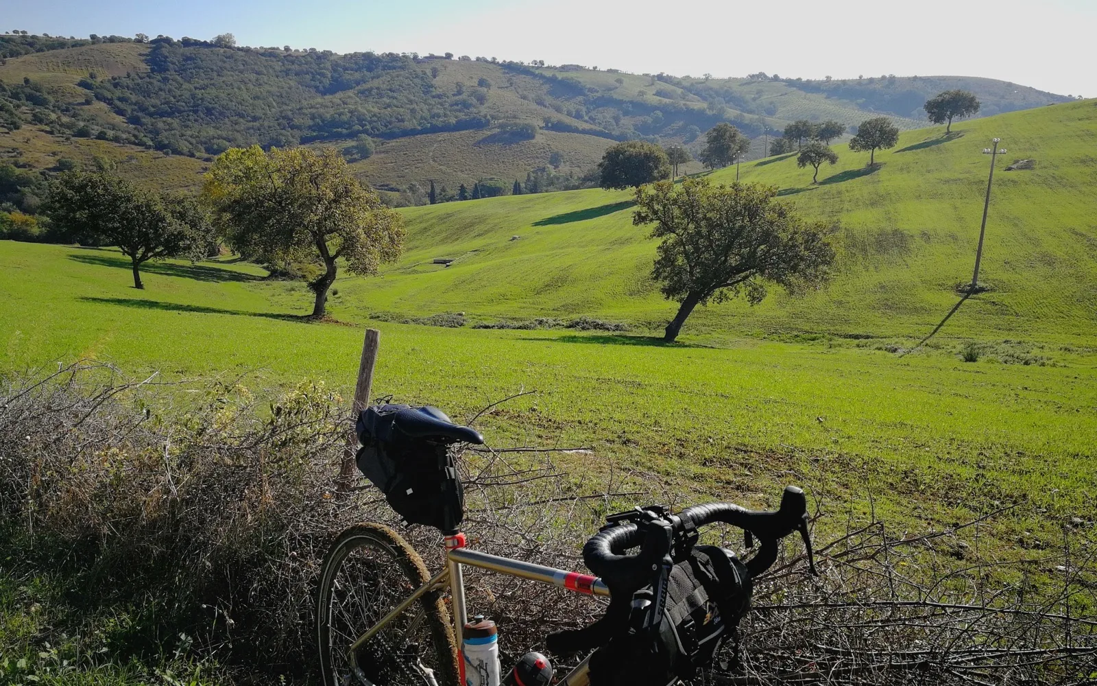 Radda and Gaiole in Chianti