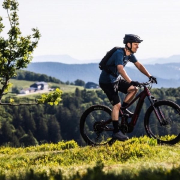 Electric bike, 10 reasons to buy it