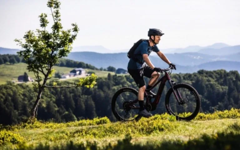 Electric bike, 10 reasons to buy it
