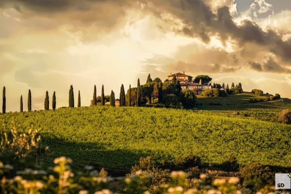 Relais Todini