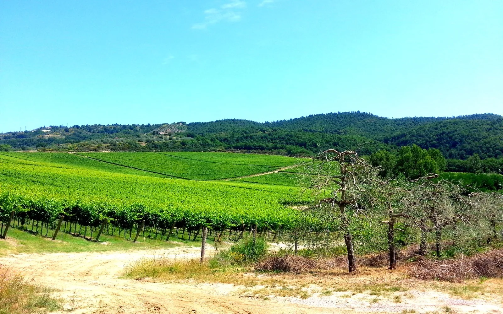 I Calanchi