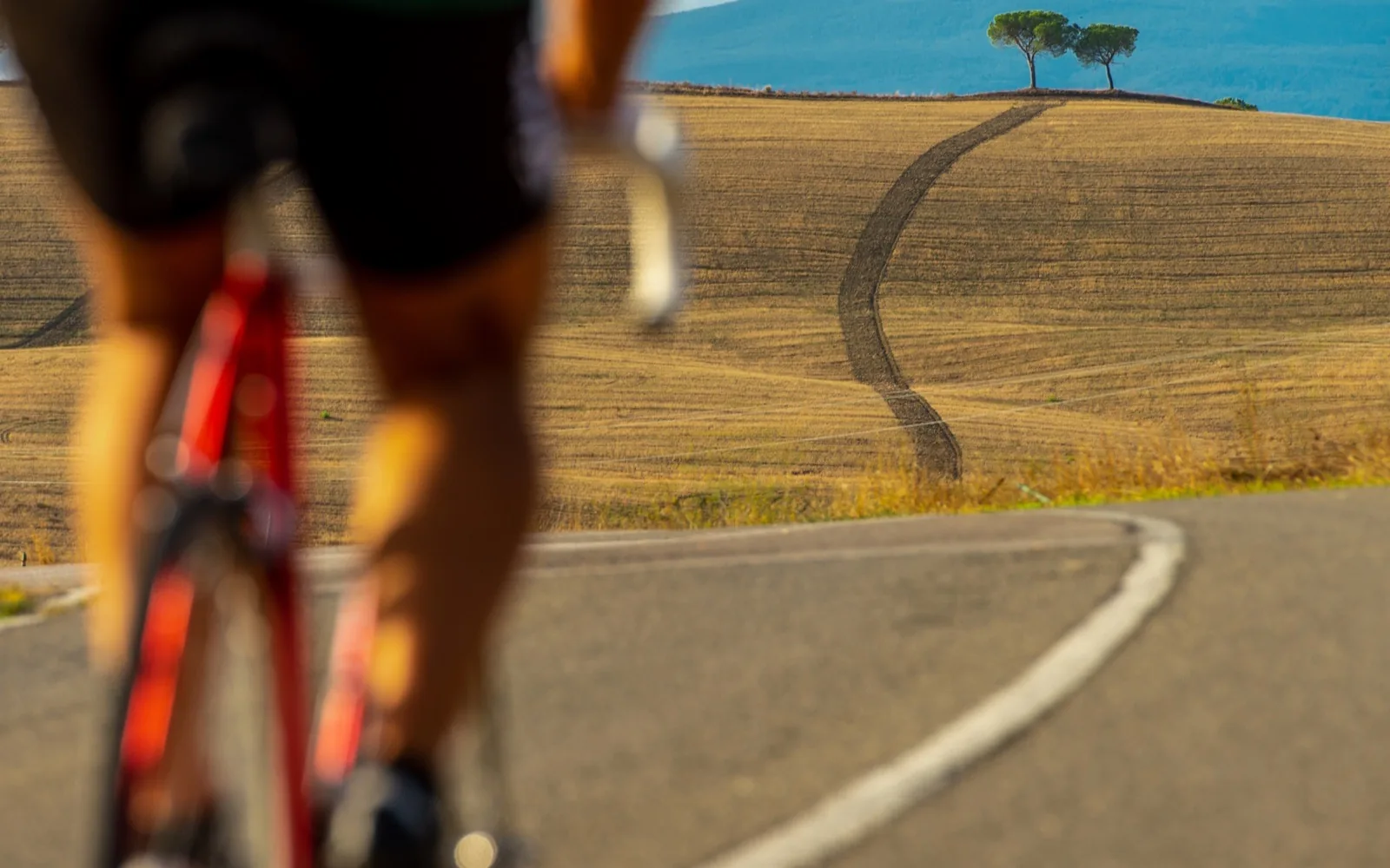 Brunello Route