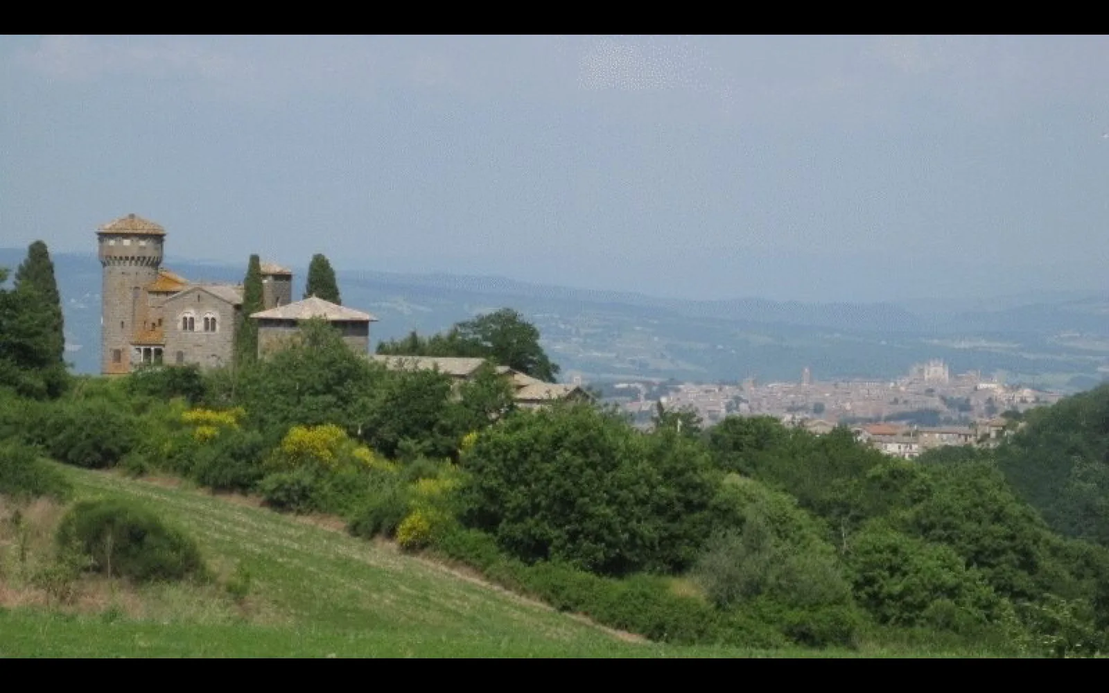 Rocca Ripesena and S. Quirico vineyards