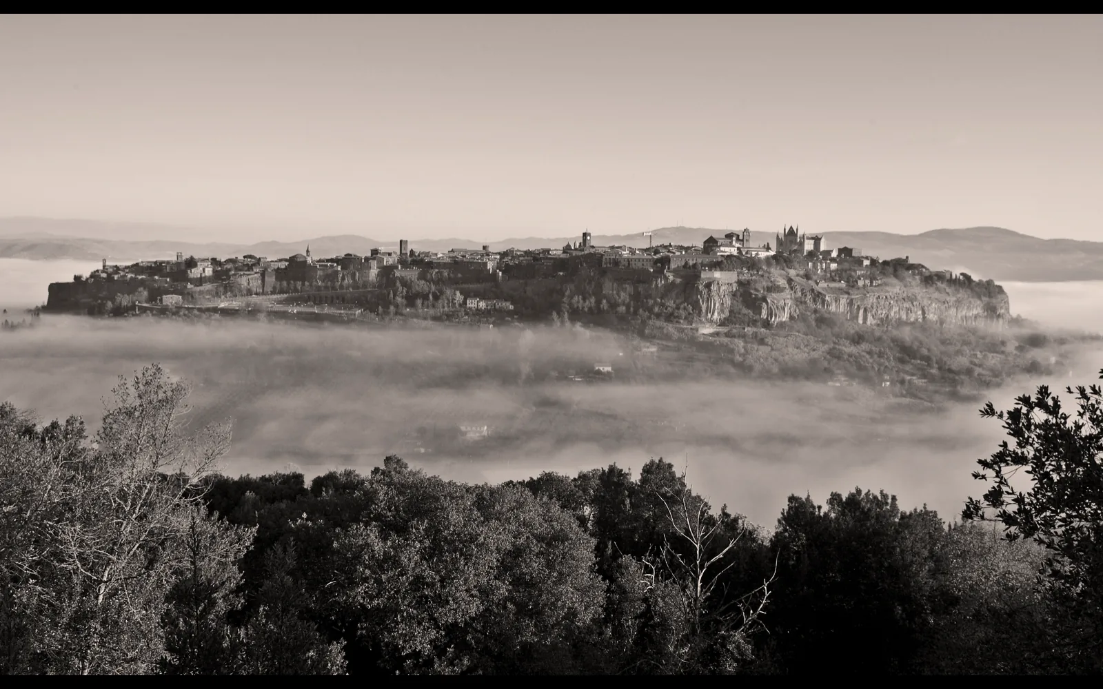 Rocca Ripesena and S. Quirico vineyards