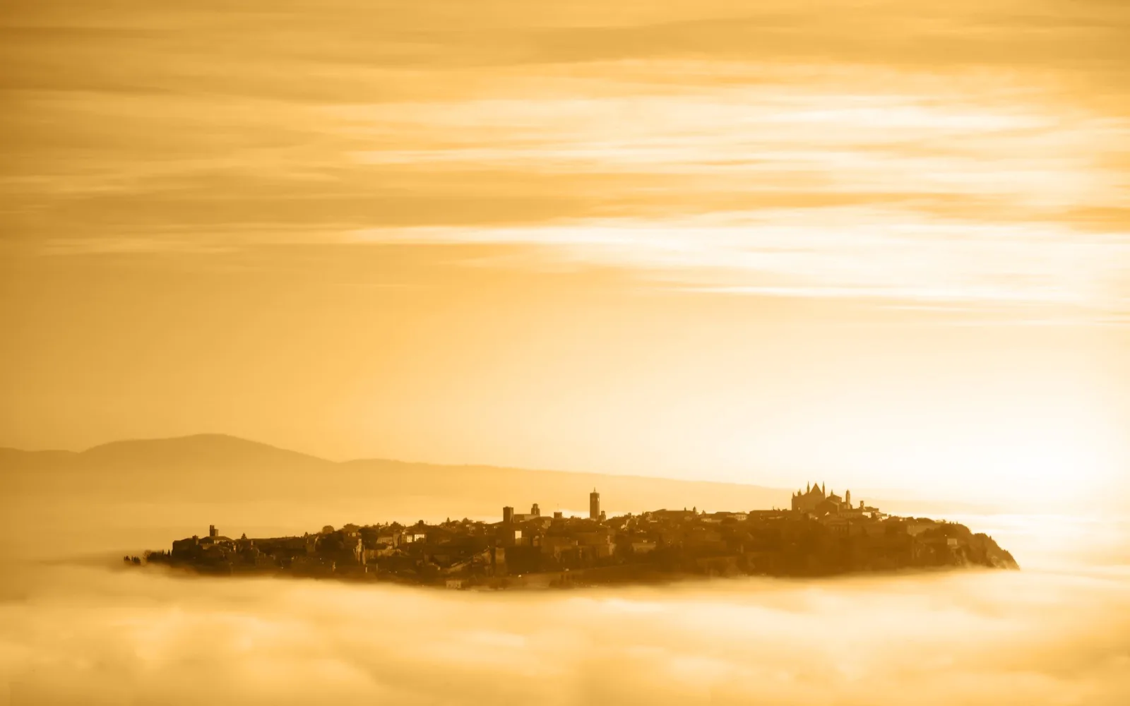 Rocca Ripesena and S. Quirico vineyards