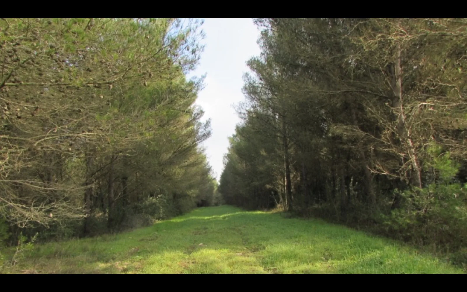 Masseria Torcito Tour