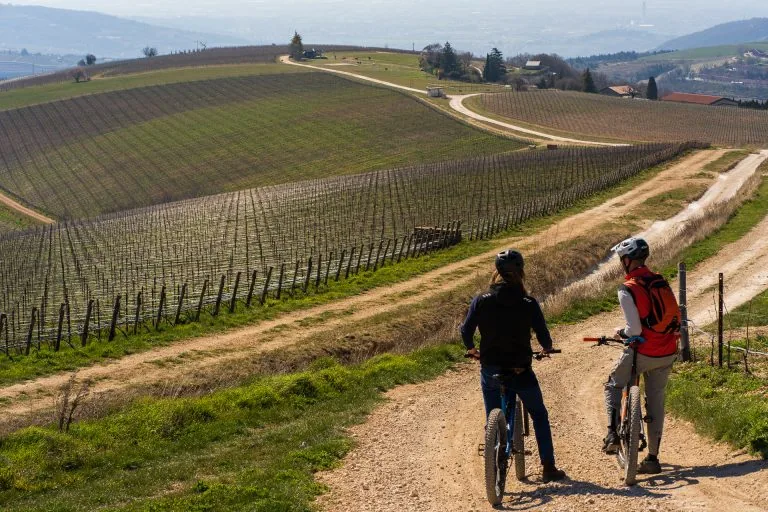 Ca'del Moro Wine Retreat