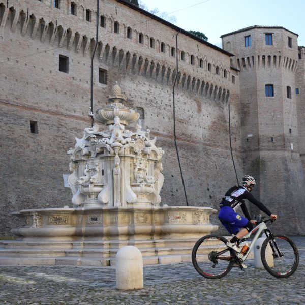 Cesena will host the Green Road Award 2023