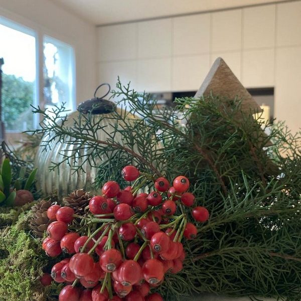 Alla ricerca di mercatini di Natale, in bici