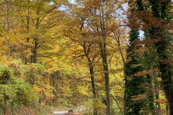 In bicicletta nel mese del foliage
