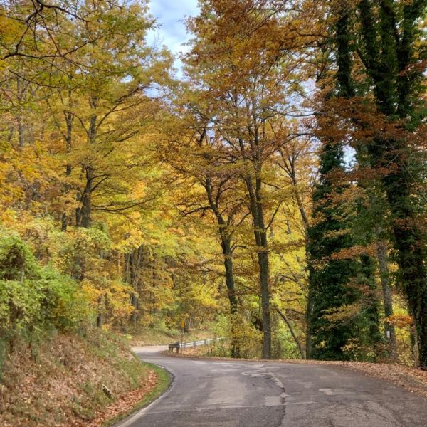 Cycling in the month of fall foliage