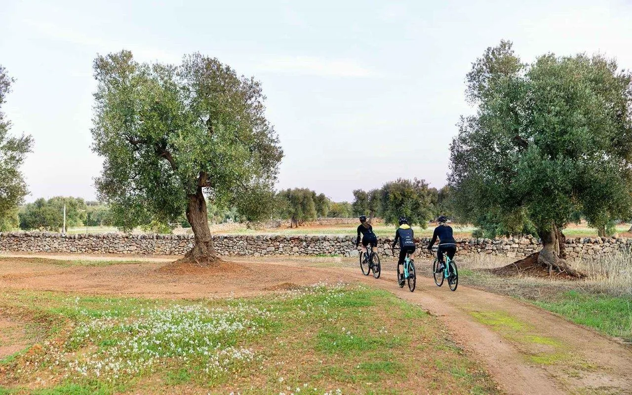 The Apulian Aqueduct