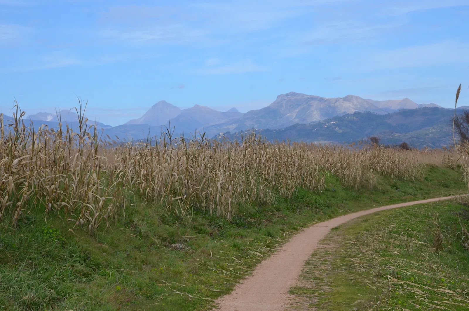Forte dei Marmi – Lucca