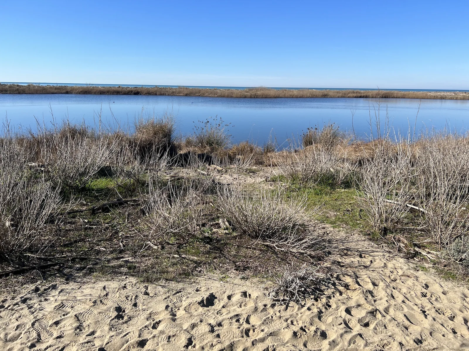 Viareggio – Torre del Lago – Massaciucoli and back