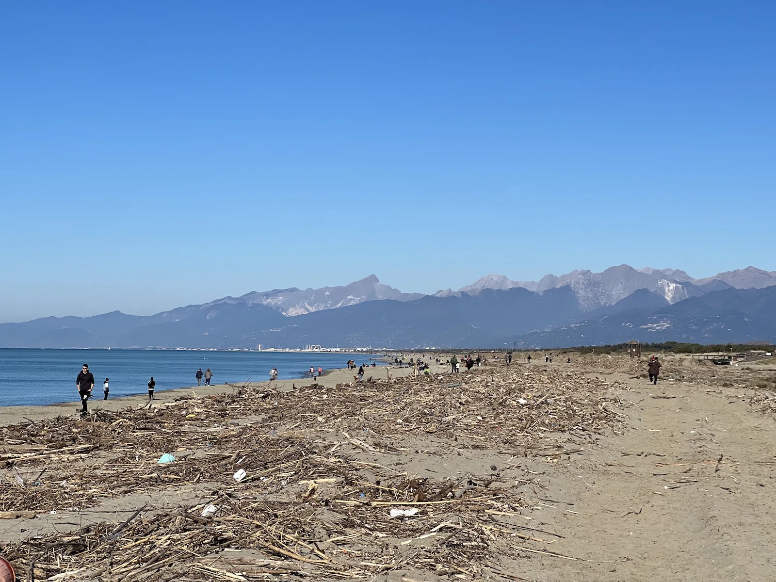 Viareggio – Torre del Lago – Massaciucoli and back