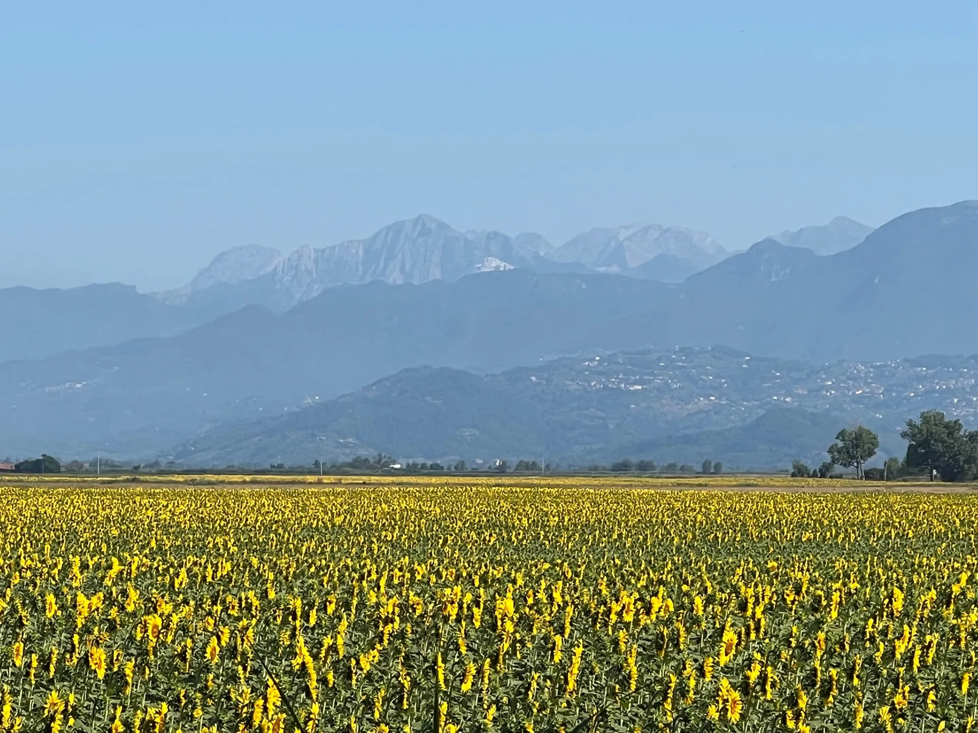 Forte dei Marmi – Lucca
