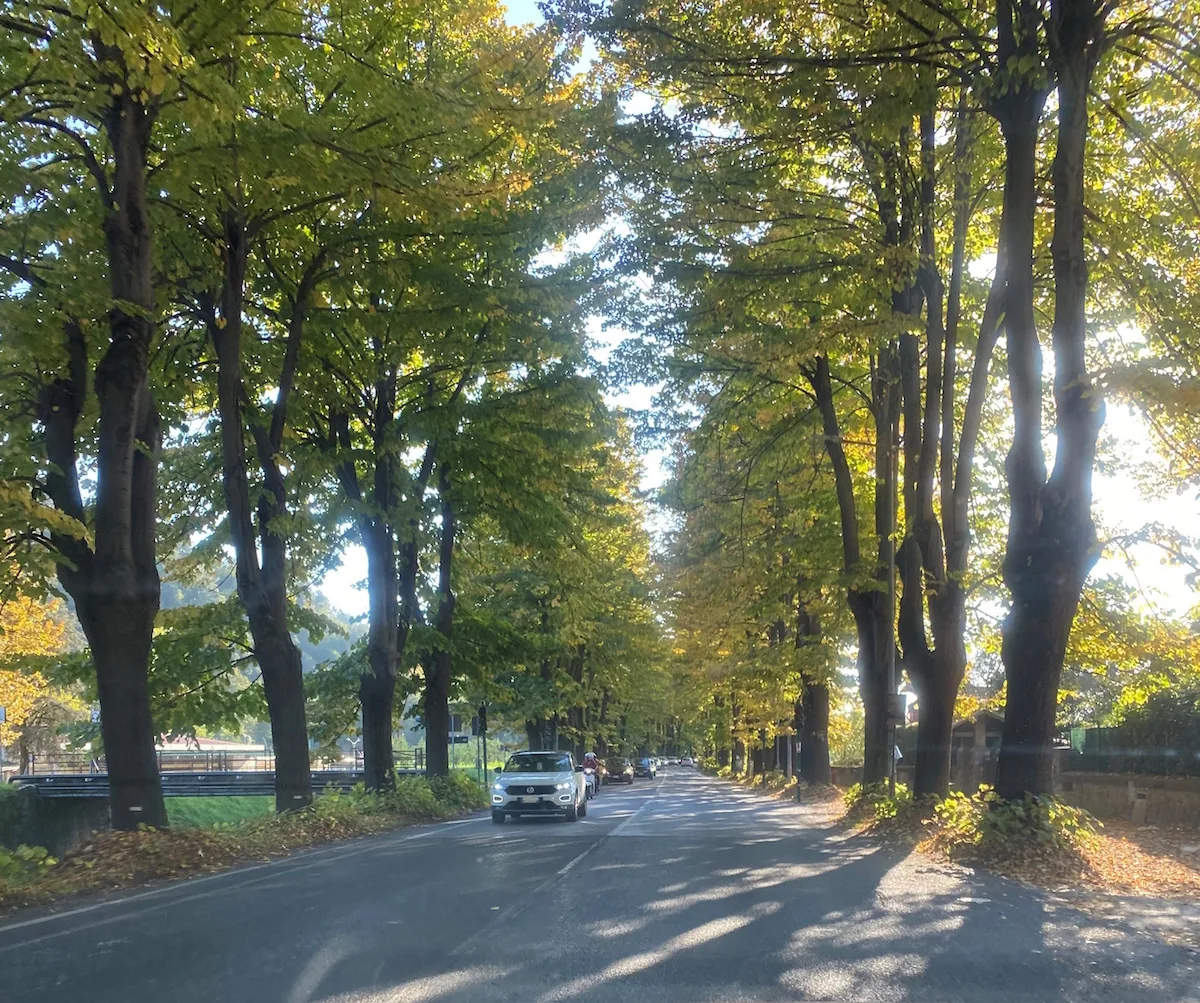 Lucca da Camaiore attraversando Monte Magno