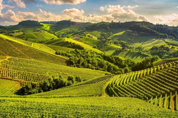 Cinque percorsi sulle colline italiane