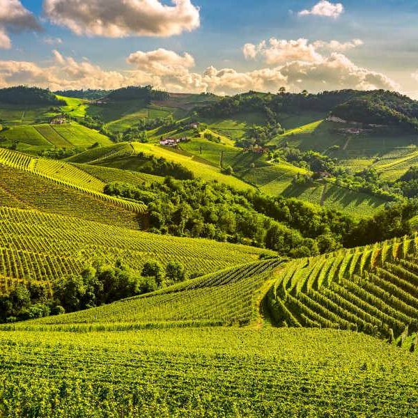 Cinque percorsi sulle colline italiane
