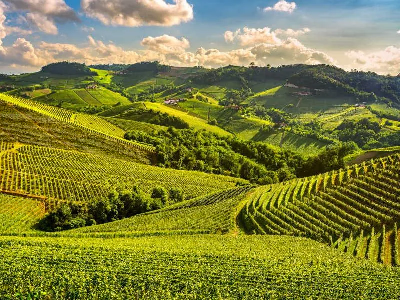 Cinque percorsi sulle colline italiane