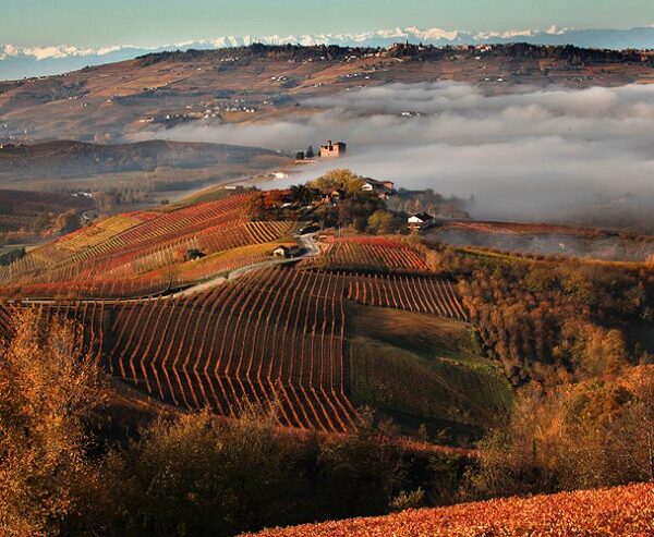 Pedalare di notte, i nostri consigli
