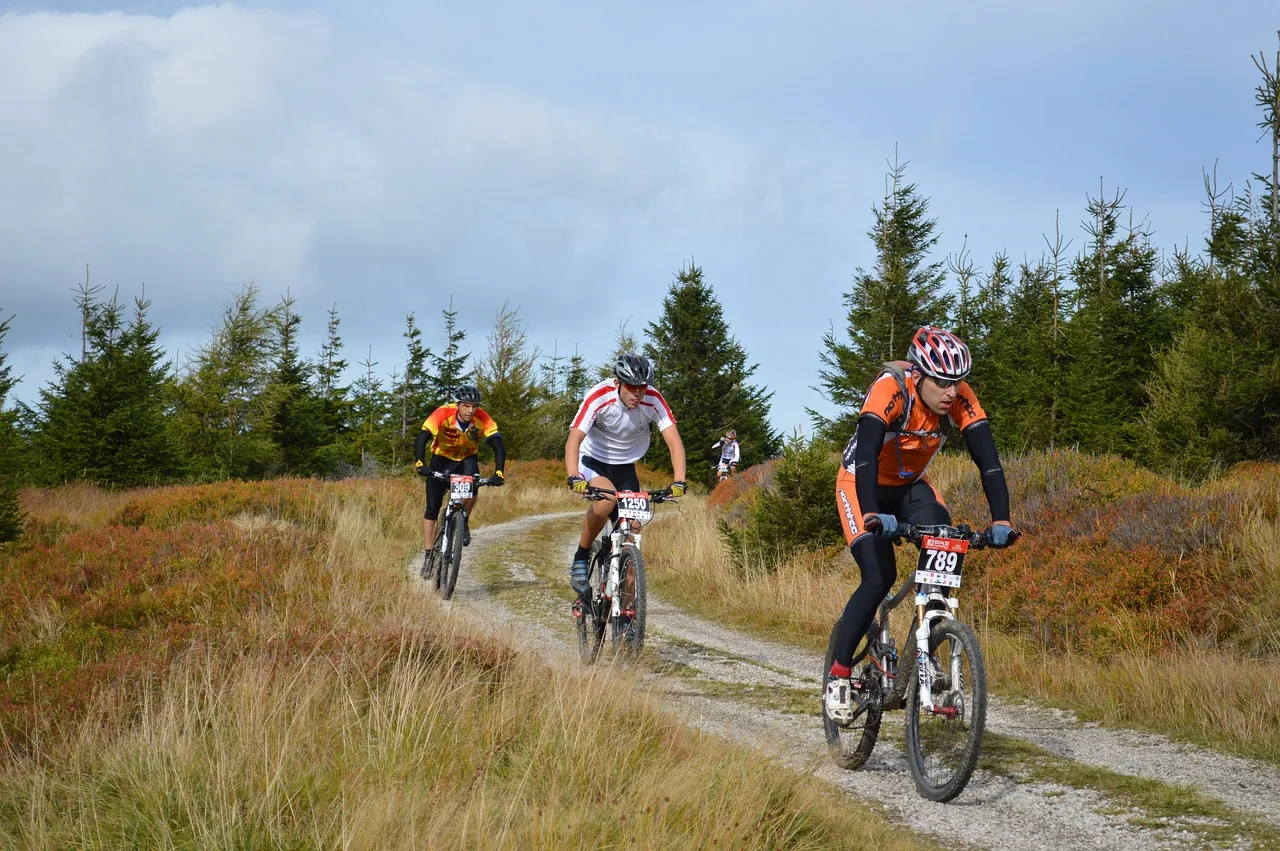 MTB tour of the Alto Sangro district